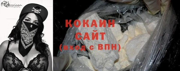 гашик Белокуриха
