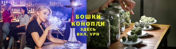 гашик Белокуриха