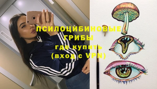 дживик Белоозёрский